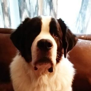 Meet your Posher, Jenn